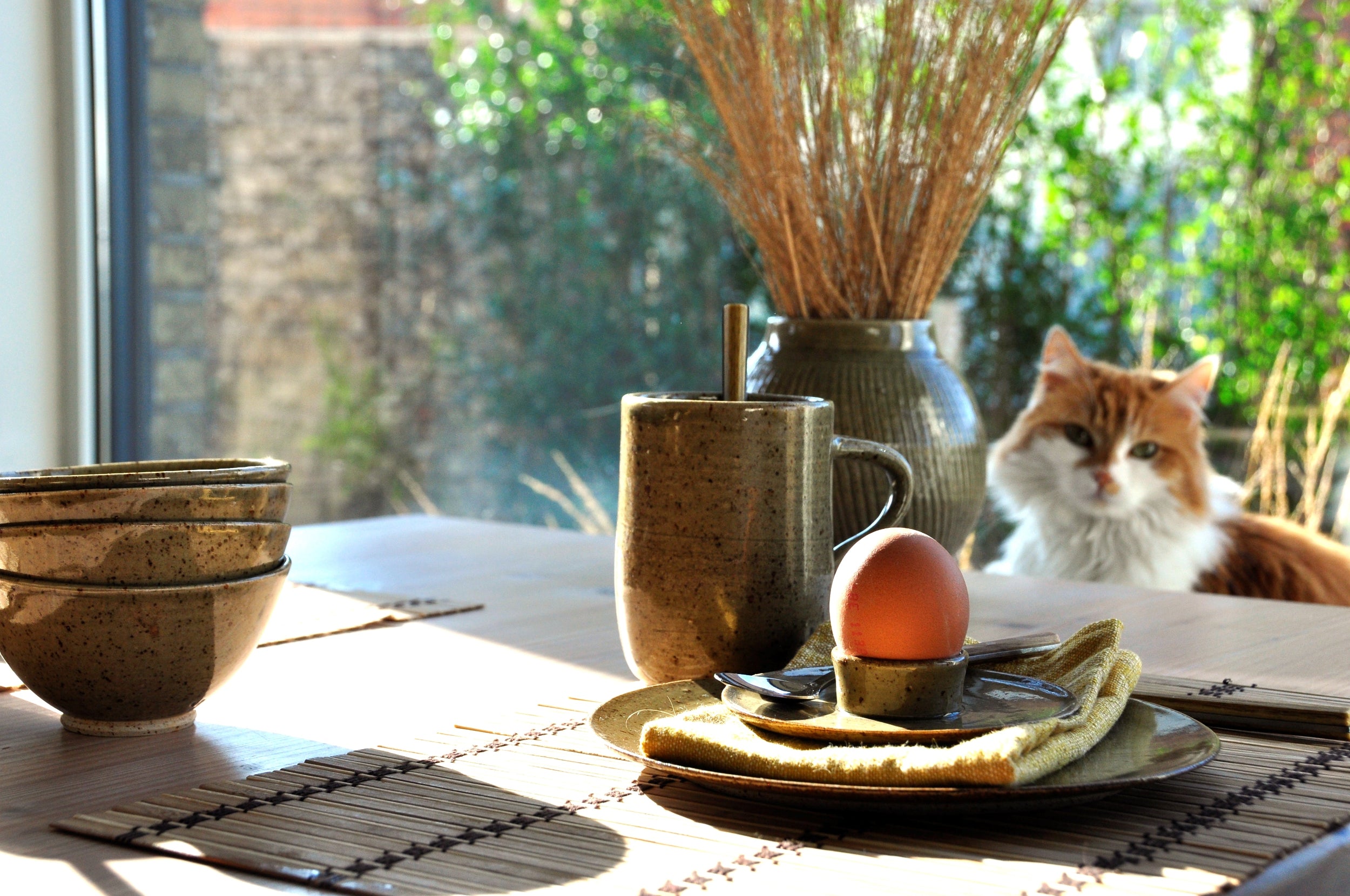 gedekte tafel met handgemaakte keramiek, de zon schijnt, een poes en een eitje